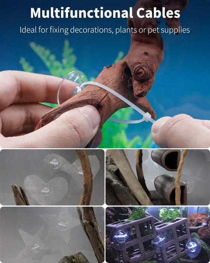 Ten pack of transparent suction cups with twenty pieces of zip ties layout.