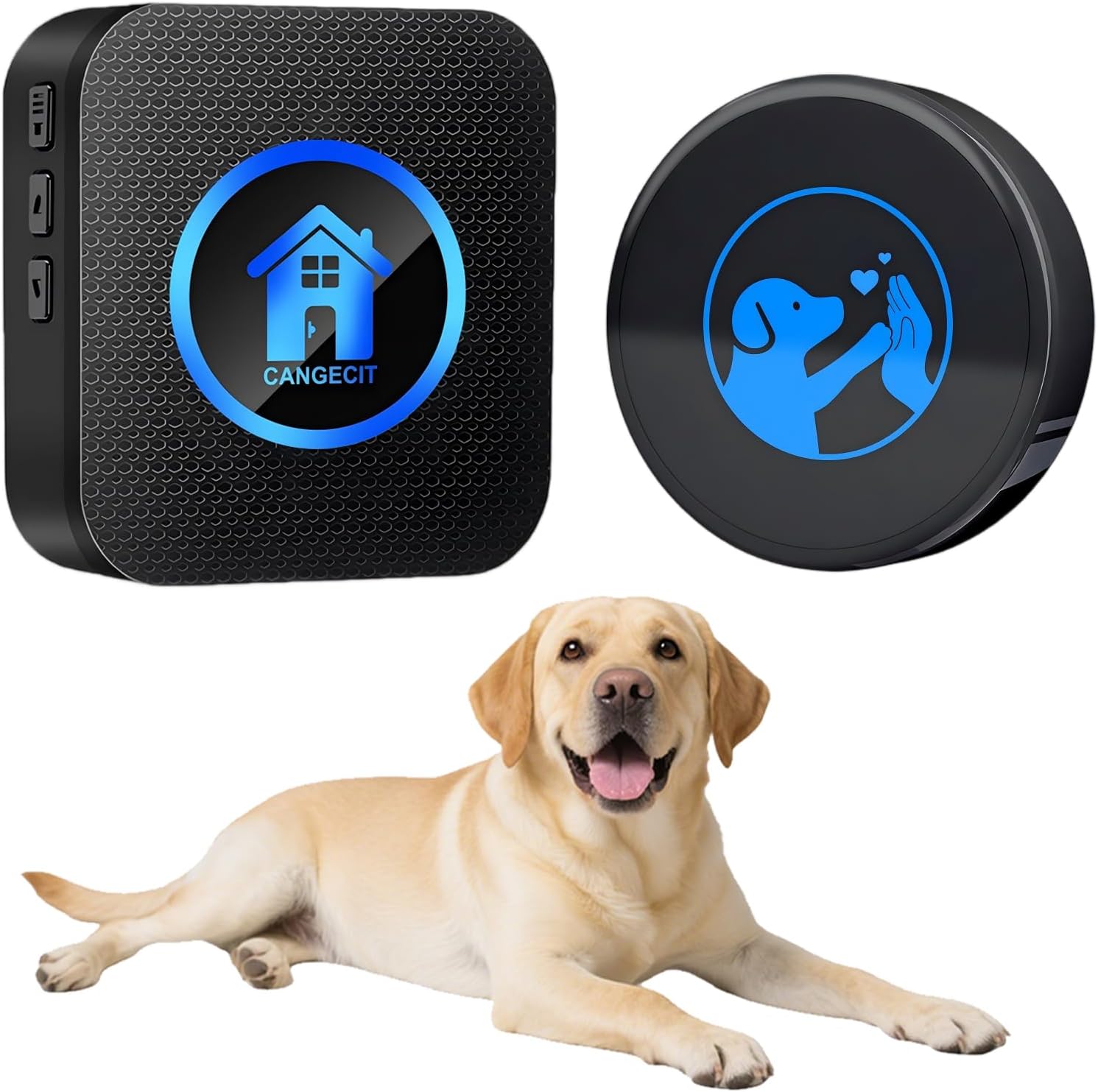 Dog Door Bell for Potty Training, Smart Wireless Doggie Doorbell to Go Outside, 1000 Feet Long Range with IP65 Waterproof Super-Light Touch Button, 60 Melodies & Adjustable Volume (2 Buttons) - Image 9