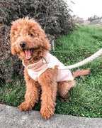 Premium 100 percent polyester clay colored dog pullover sweater fabric texture