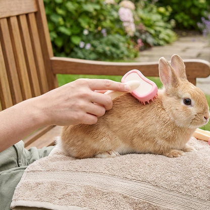 Two piece soft silicone pet brush set for chinchillas and guinea pigs
