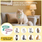 Alumani brand magnetic replacement keys for pets