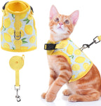 BINGPET Cat Harness and Leash Set Escape Proof, Fashionable Adjustable Mesh Harness for Walking, Soft Cute Breathable Easy Control Cat Vest for Kitten Puppy Small Medium Large Cats - Image 10