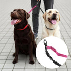 Molain dual dog coupler connection point rotating at full 360 degrees to prevent tangles.