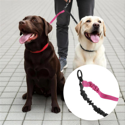 Molain dual dog coupler connection point rotating at full 360 degrees to prevent tangles.