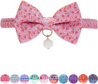Blueberry Pet choker cat collar showing the safety breakaway buckle.