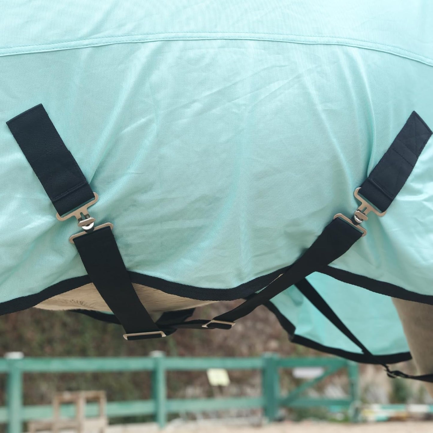 Underbelly view highlighting the adjustable low cross surcingles on the Gallopoff protective horse sheet.