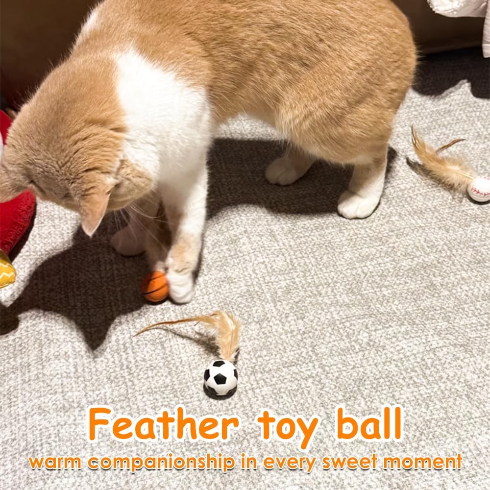 Authentic USA imported AVYDIIF pet toys package for active adult cats