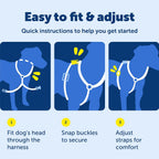 PetSafe dog harness top handle feature