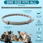 Authentic USA imported cat flea prevention collar