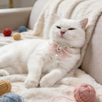 High quality sparkling crystal and pearl pet neck accessory for holiday photoshoots.