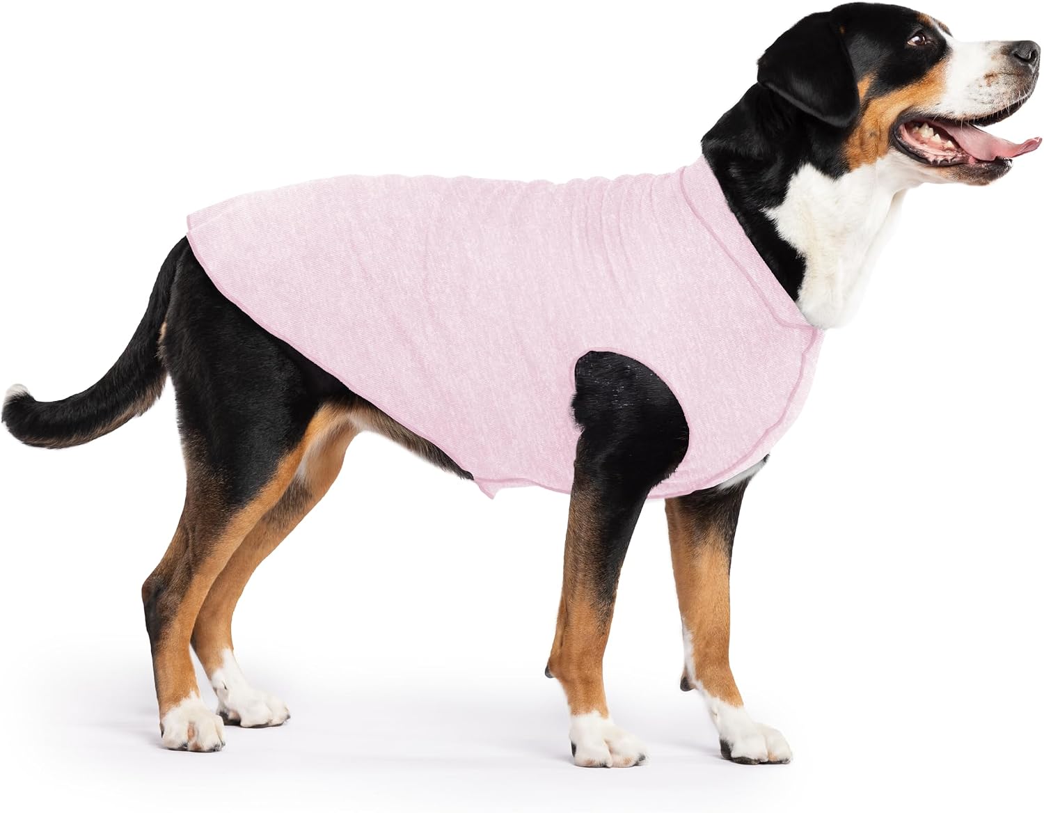Goldpaw Dog Sun Shirt with UV Protection - Lightweight, Cooling Sun Protection Clothing for Dogs - Reduce Heat Absorption - Pet Clothes Made in the USA - Machine Washable - Size 16 - Pebble Grey - Image 12