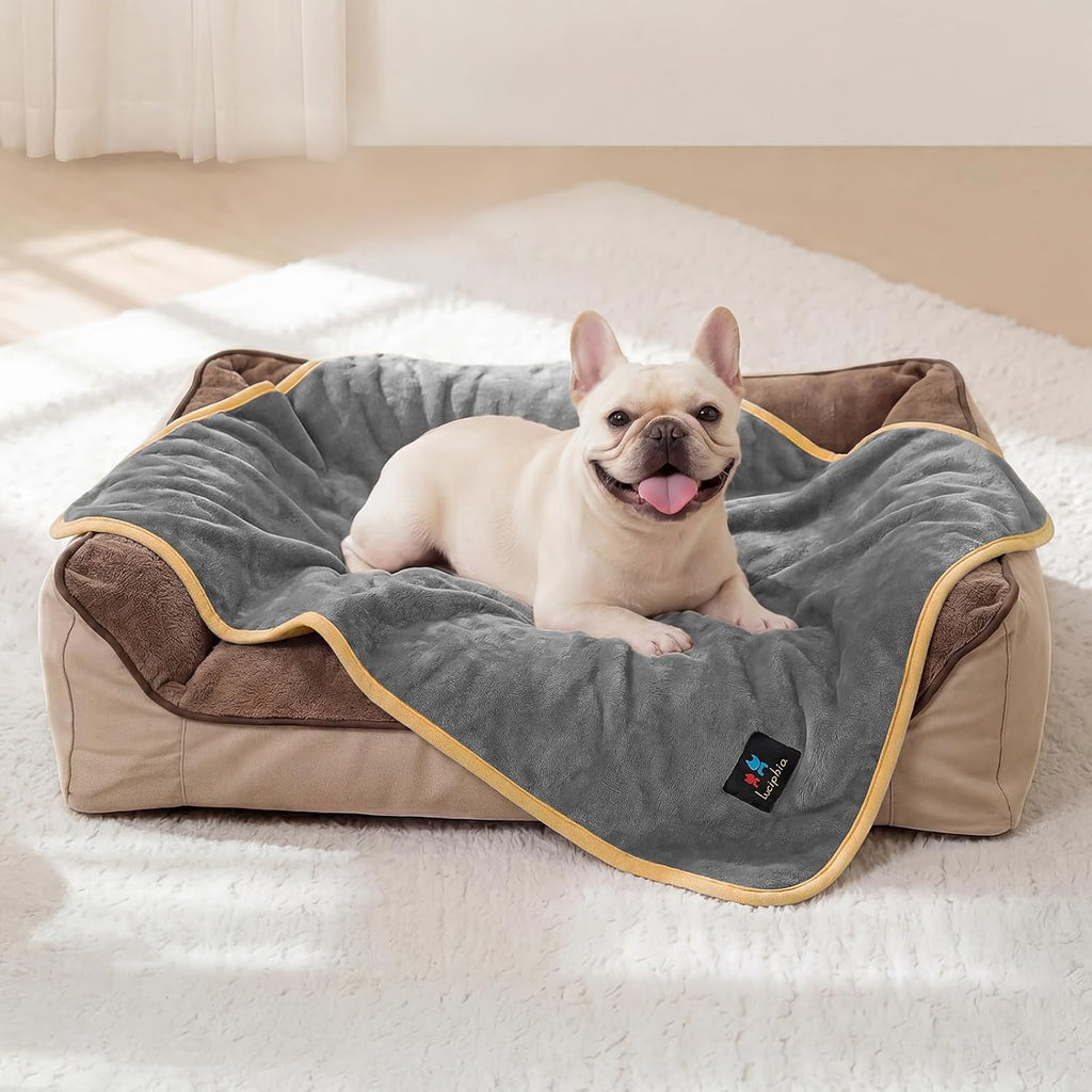 Luciphia waterproof dog blanket front view on a modern couch.