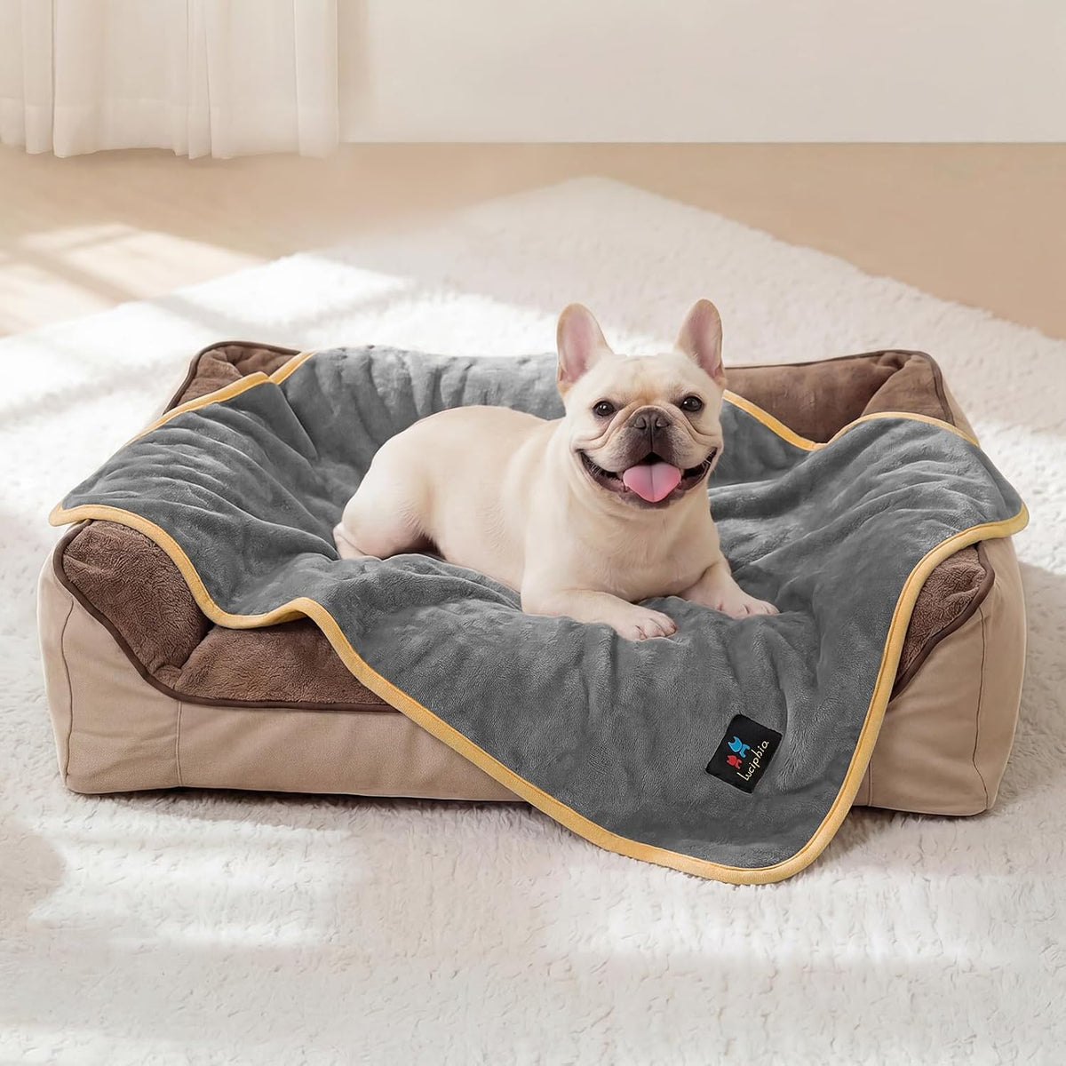 Luciphia waterproof dog blanket front view on a modern couch.