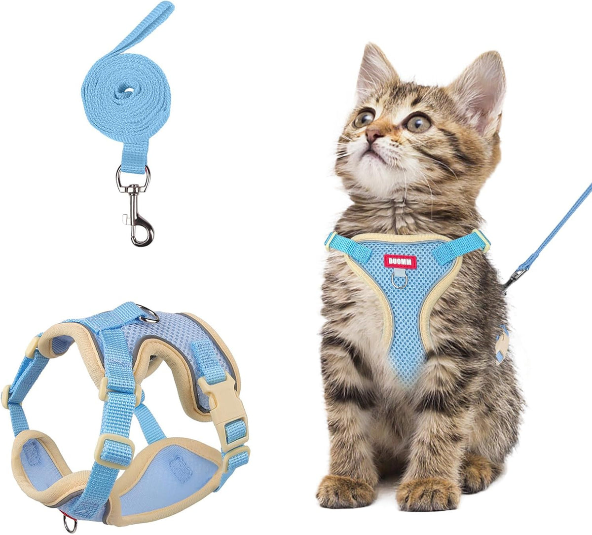 Escape proof cat harness set showing secure double metal D ring attachments
