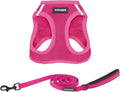 Best Pet Supplies Voyager step-in air dog harness in fuchsia
