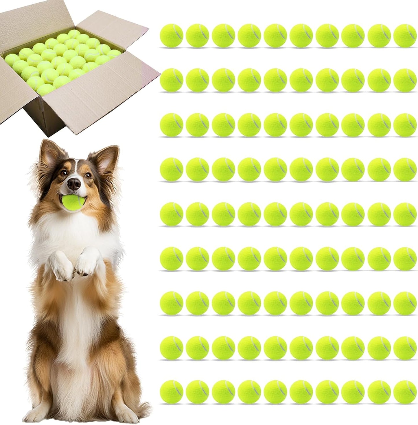 Magicorange Dog Balls, Tennis Balls for Dogs,Colorful Easy Catching Pet Playing Ball (Multicolor, 4 Pack) - Image 12