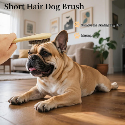 PetJoyHaven authentic imported dog shedding brush overhead view