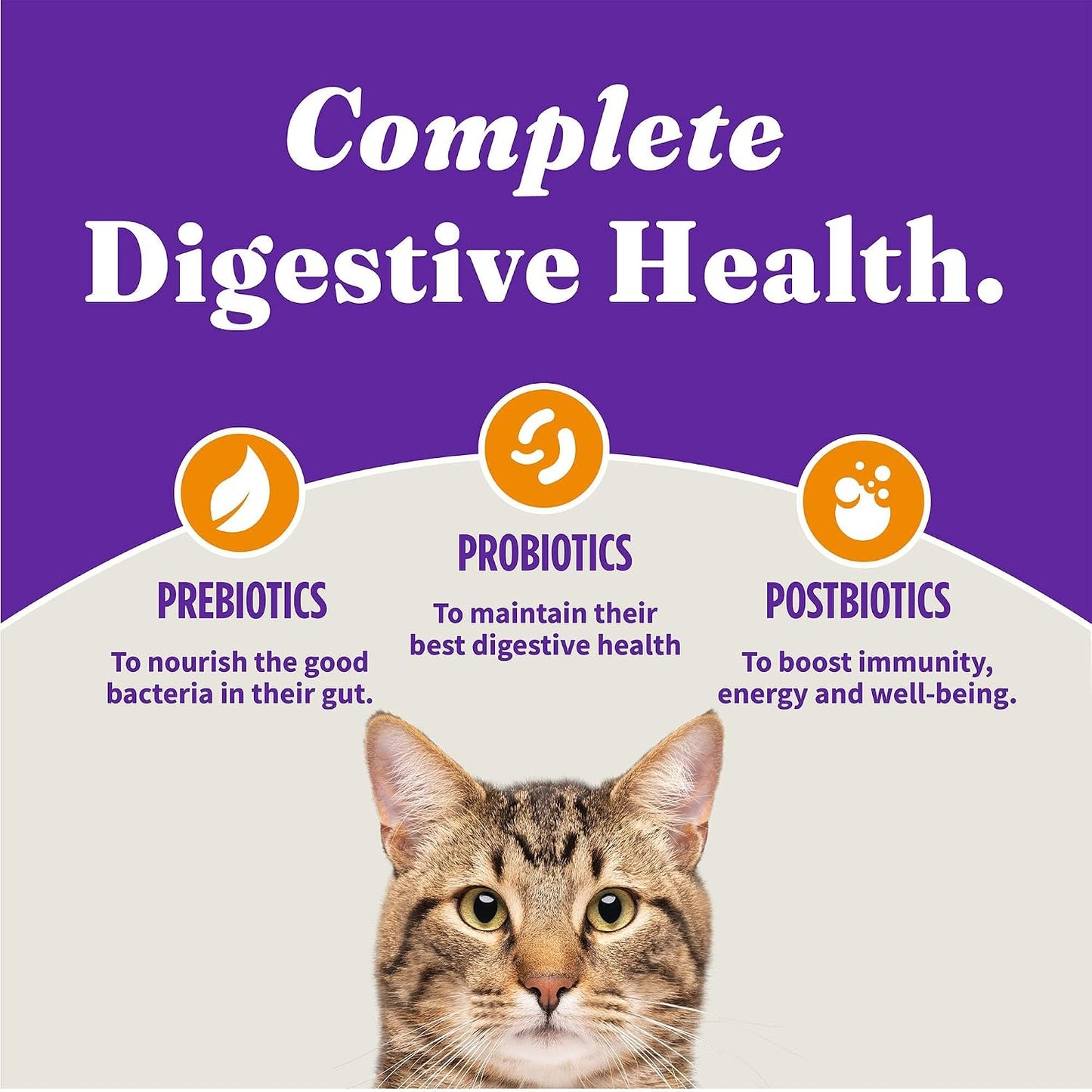 Grain free Halo chicken recipe cat food packaging