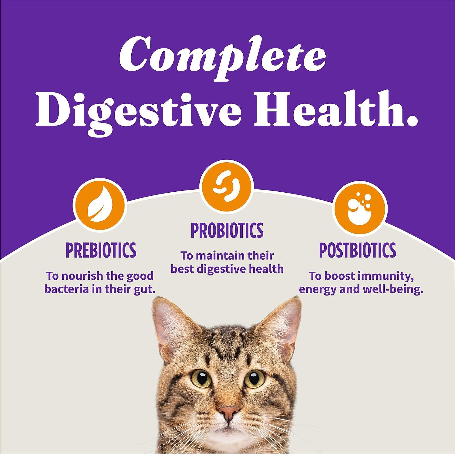 Grain free Halo chicken recipe cat food packaging
