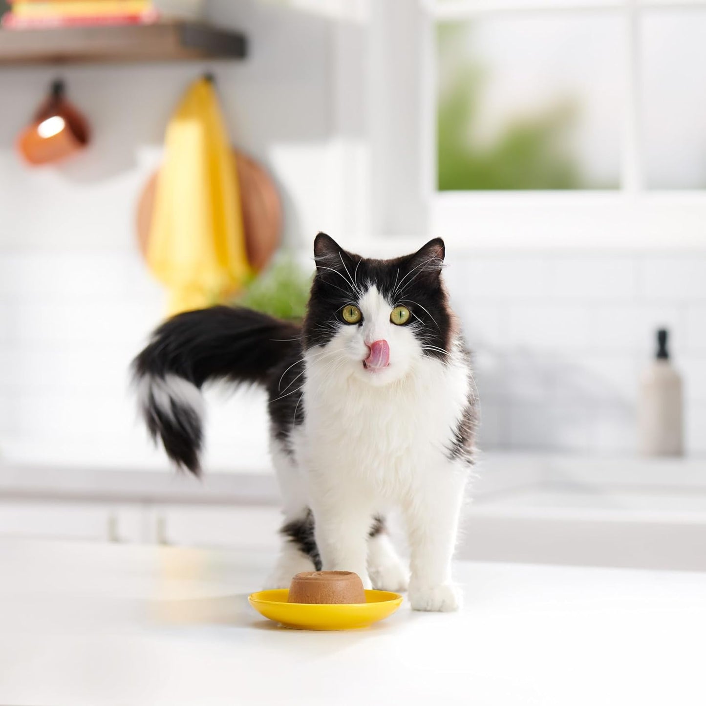 Meow Mix Surf N Turf variety pack ingredients and nutrition facts