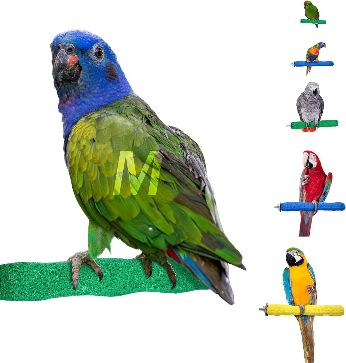 Sweet Feet and Beak Comfort Grip Safety Bird Perch, X-Large Pedicure Perch - Image 12