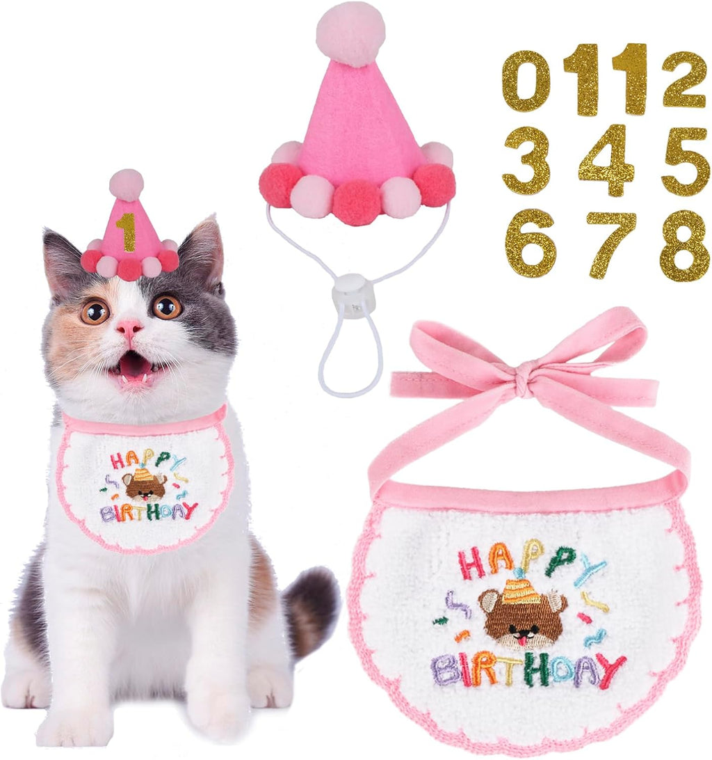Kitten wearing blue PTDECOR birthday party outfit