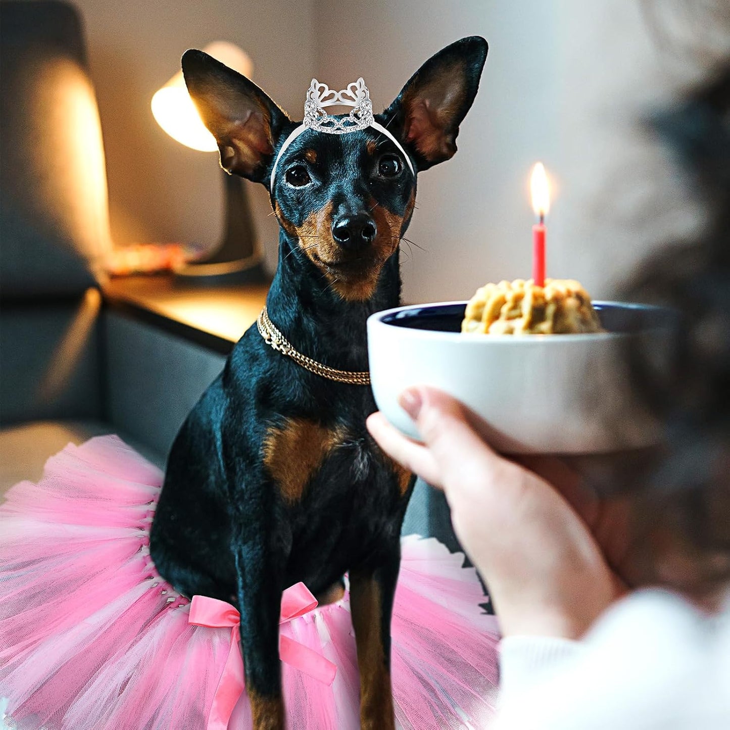 Side view of Hillban rhinestone headband on a large canine