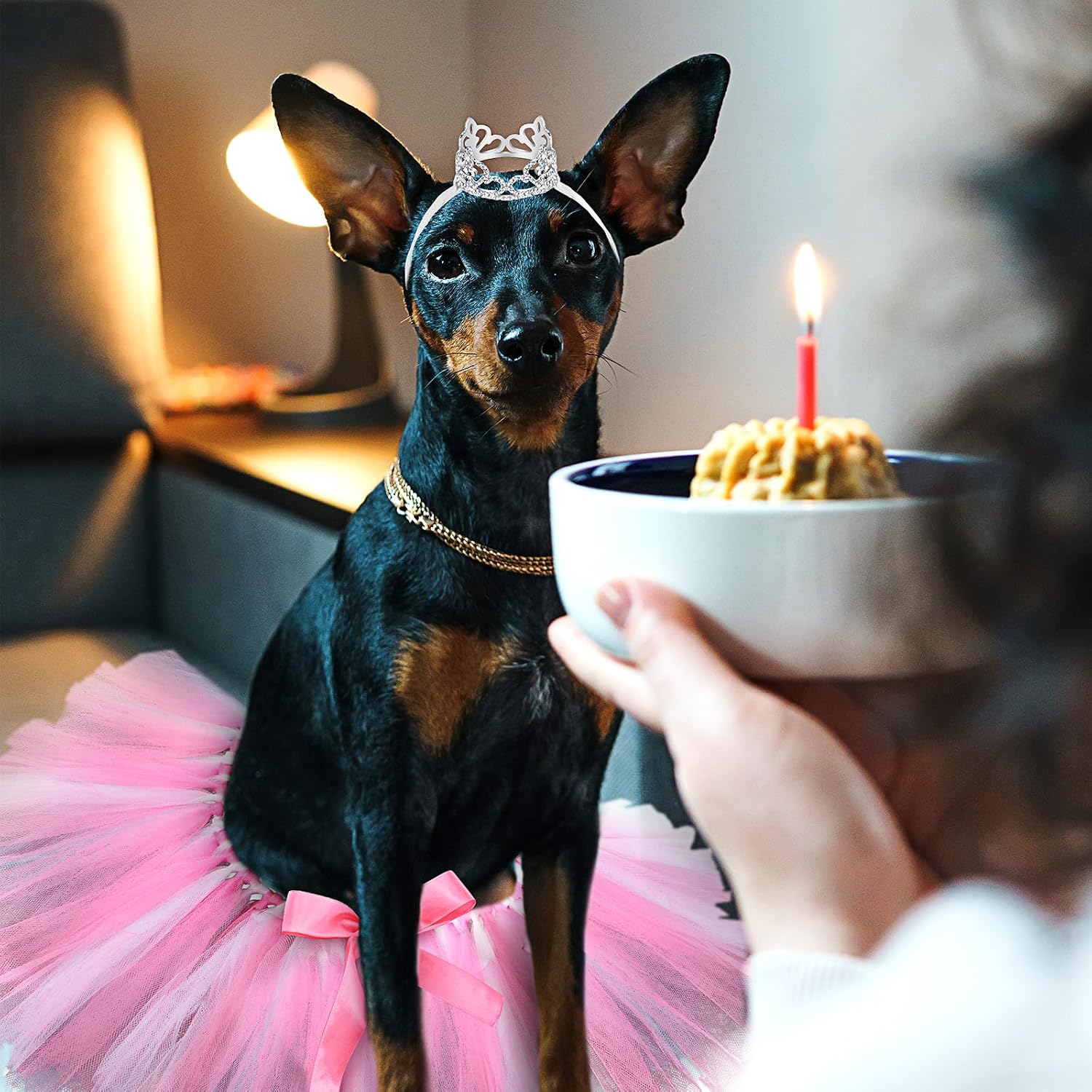 Side view of Hillban rhinestone headband on a large canine