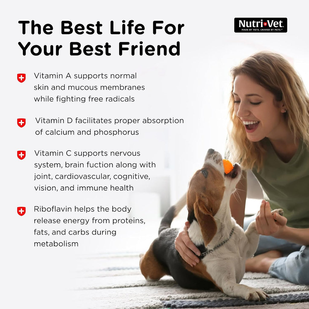 Healthy adult dog enjoying Nutri-Vet vitamin supplement