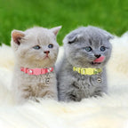 4 Pack Kitten Collars, Breakaway Kitten Collar with Bell, Floral - Image 4