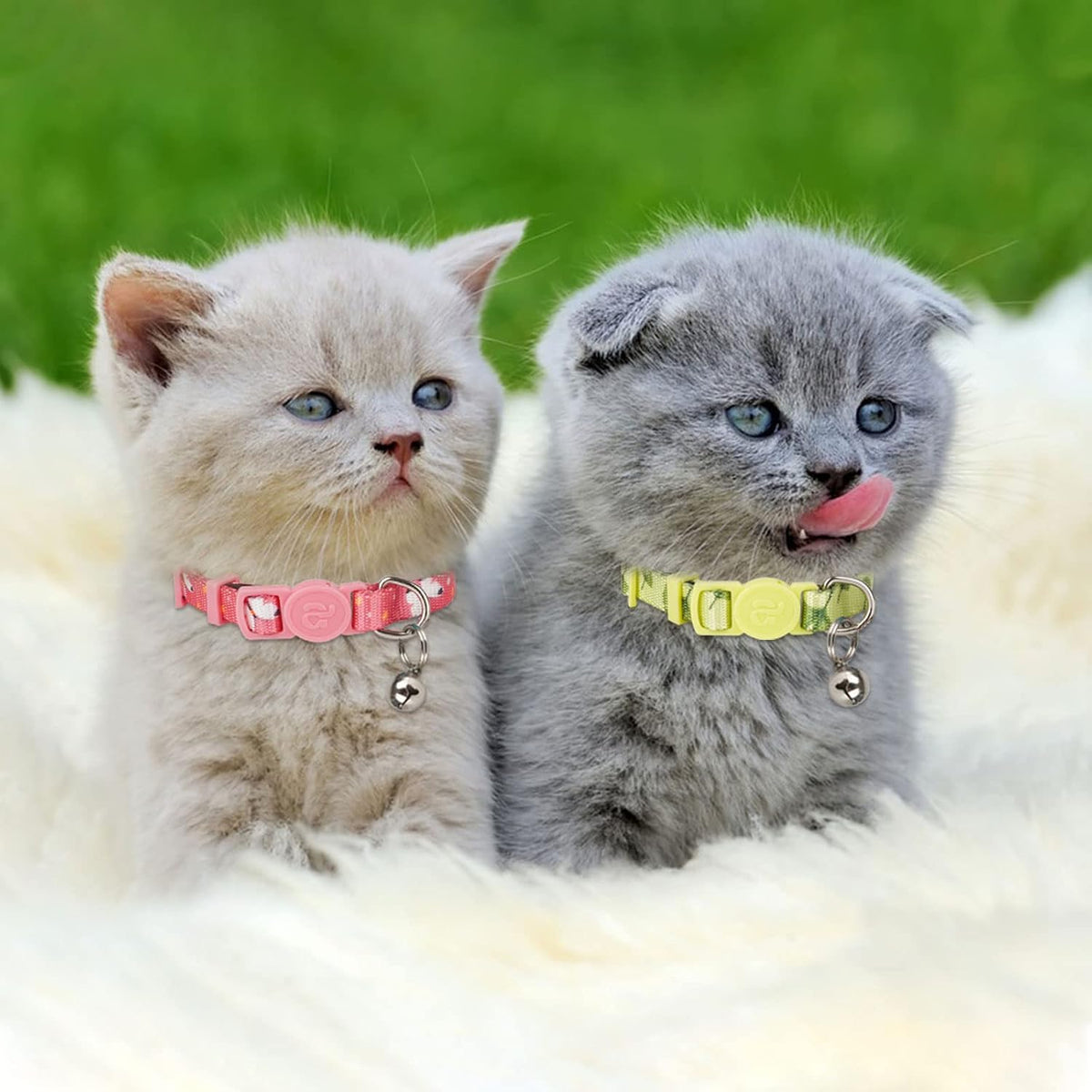 4 Pack Kitten Collars, Breakaway Kitten Collar with Bell, Floral - Image 4