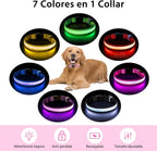 Close up of rechargeable LED strip on PcEoTllar dog collar