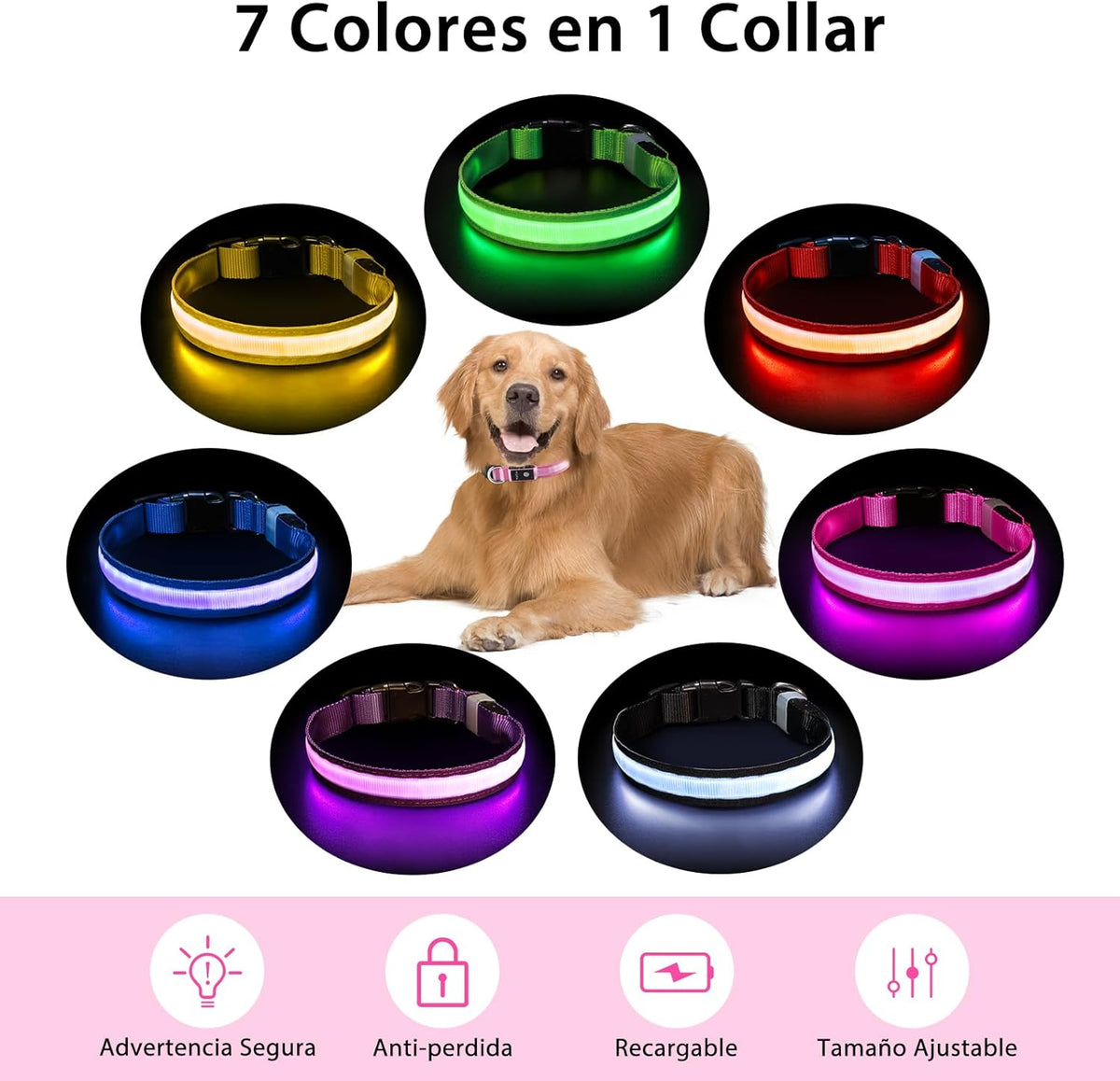 Close up of rechargeable LED strip on PcEoTllar dog collar
