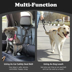 Bwogue pet safety strap adjusted for small pet