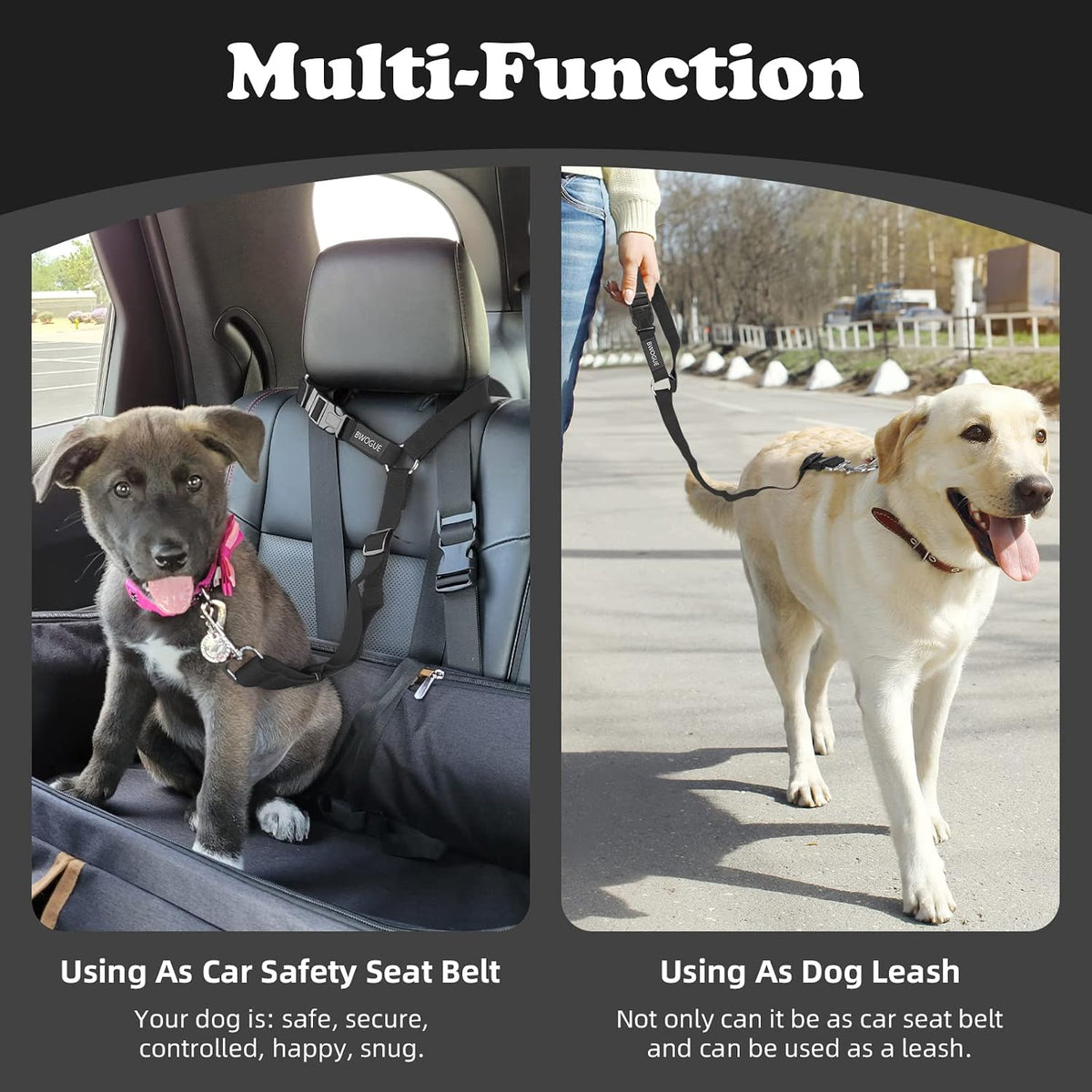 Bwogue pet safety strap adjusted for small pet