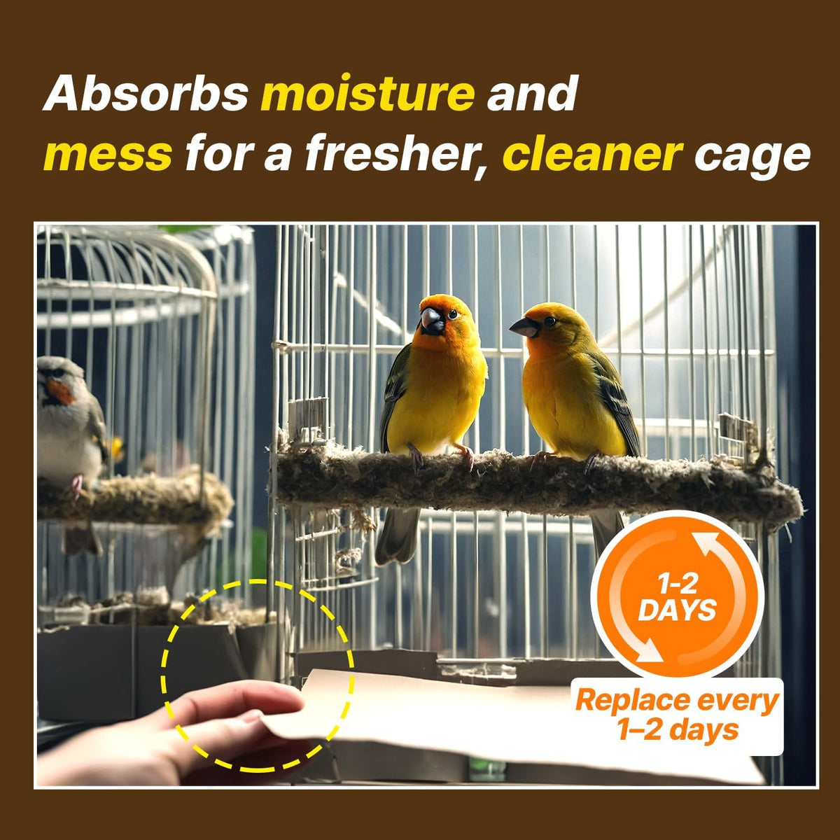 T Torto9 large bird cage tray coverage illustration
