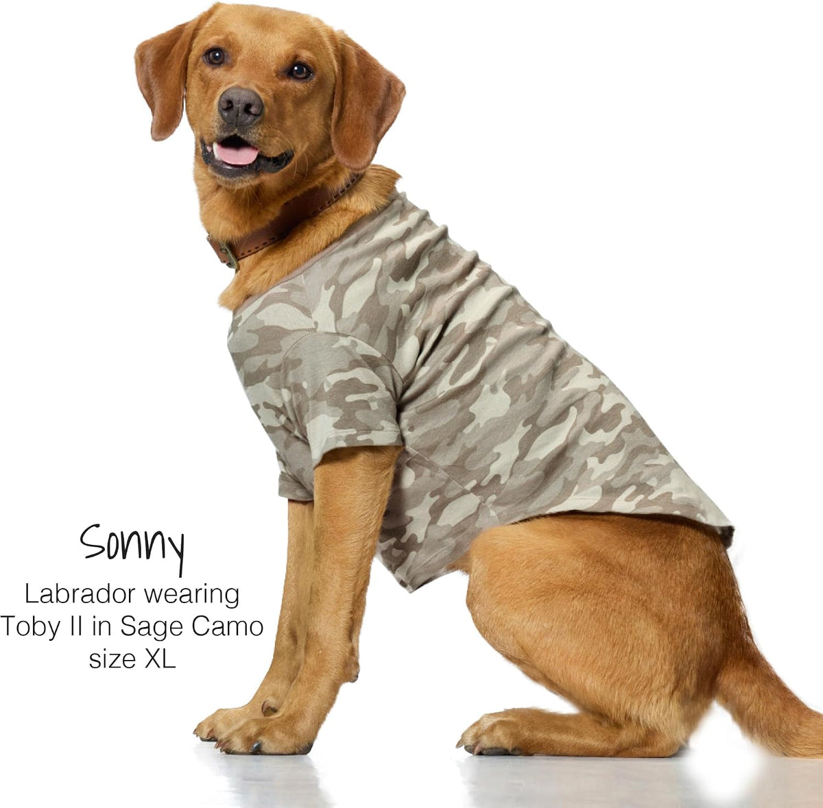 Close up of 100% organic cotton fabric texture on dog shirt