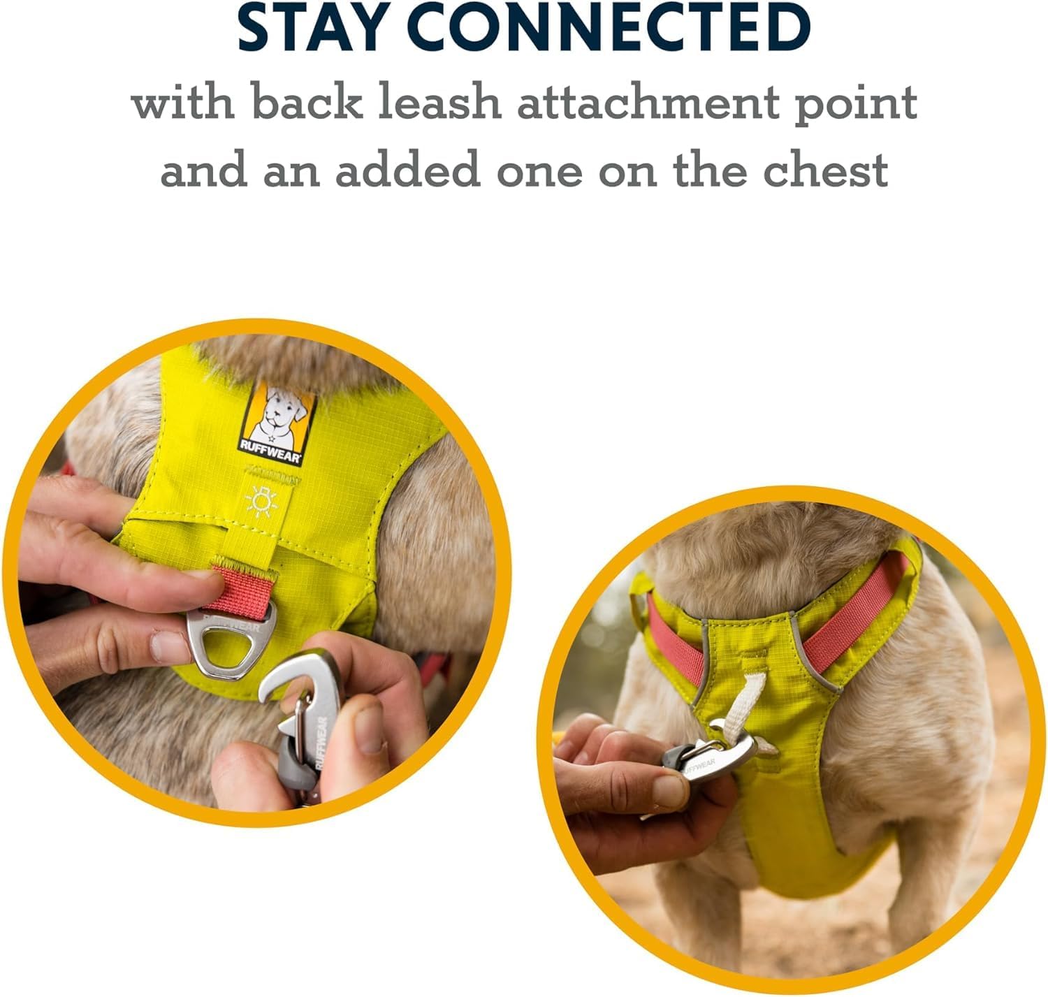 Ruffwear harness adjustment buckles and straps detail