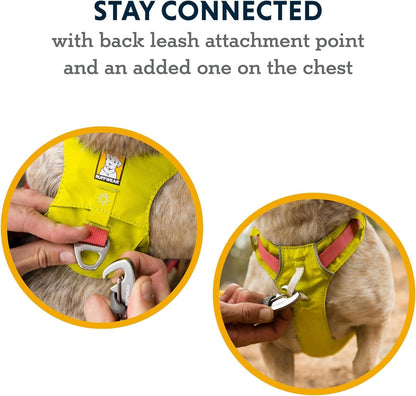 Ruffwear harness adjustment buckles and straps detail