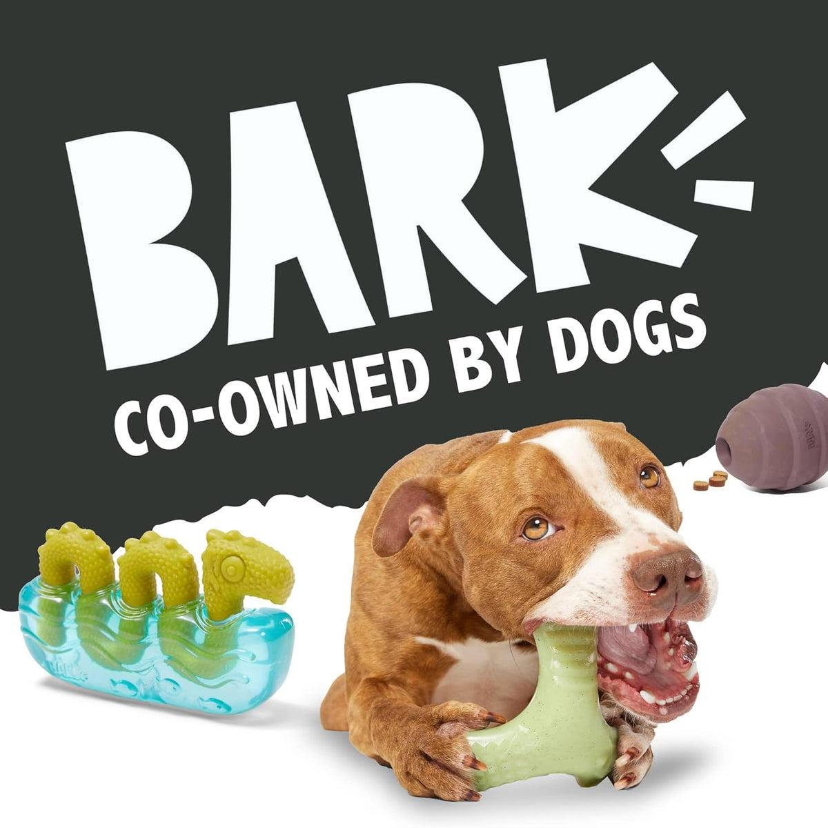 Durable rubber core interior of the Barkbox Bear