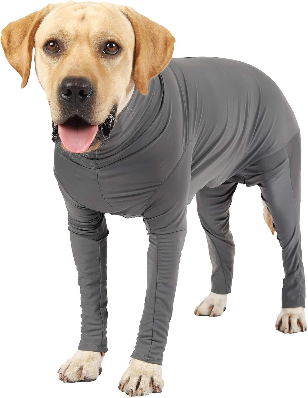 Dog Onesie After Surgery Recovery Suit for Small Miedium Large Female Male Neuter Dogs Pet Surgical Anxiety Body Suits Claming Pajamas - Image 9