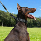Pudiwind imported authentic hidden martingale pinch collar