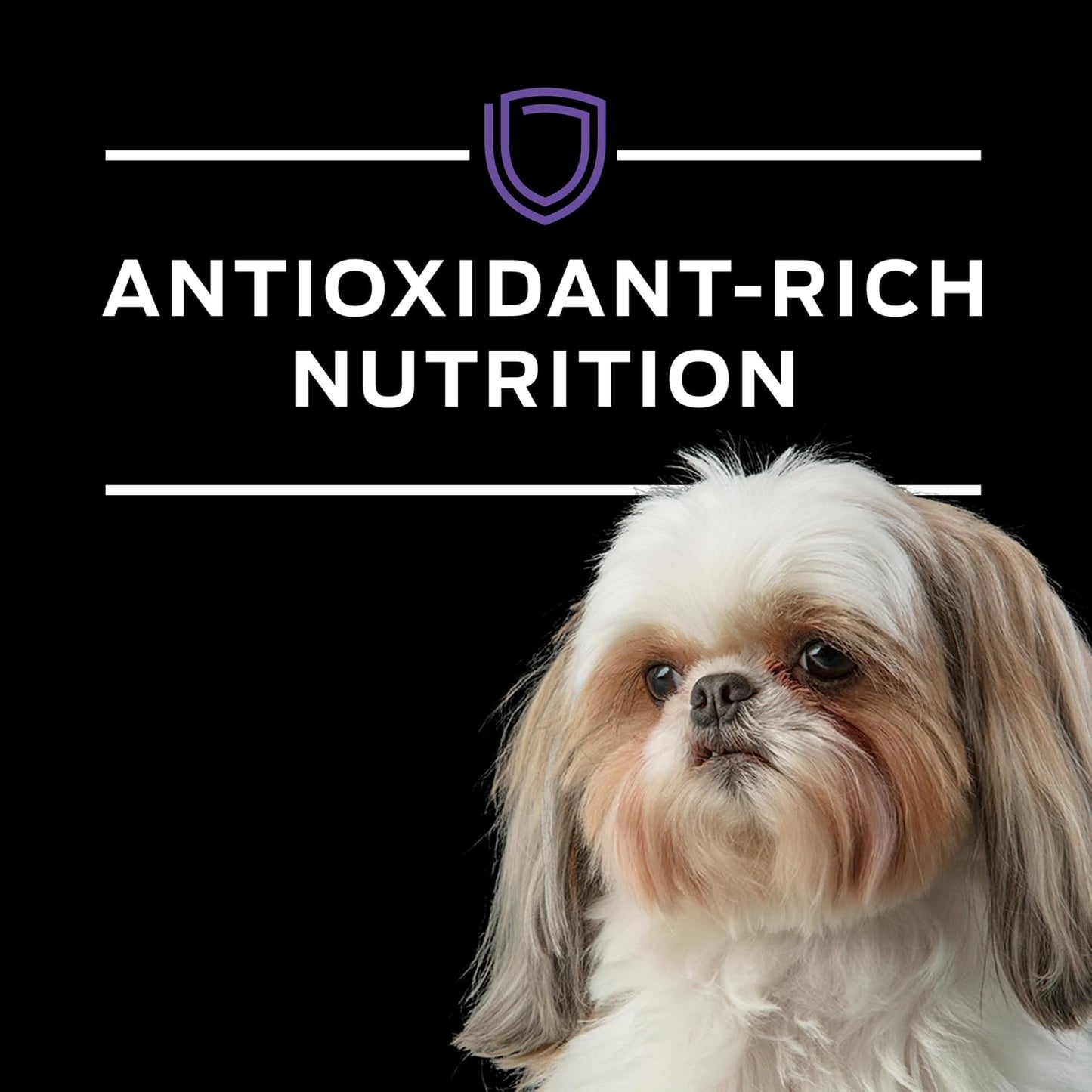 Pro Plan Veterinary Diets Purina NF Kidney Function Canine Dog Food Dry Formula - 6 lb. Bag - Image 9