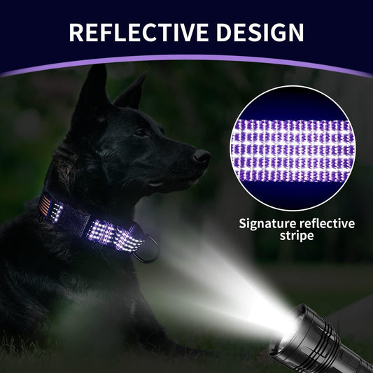 Luckydc reflective escape proof collar showing the premium black hardware close up.