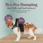 Dog wearing Muffin's Halo harness with angel wings