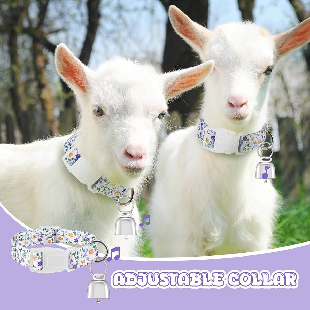 Side view of the Talltalk goat collar illustrating the non slip sizing adjustment buckle and detailed daisy print pattern.