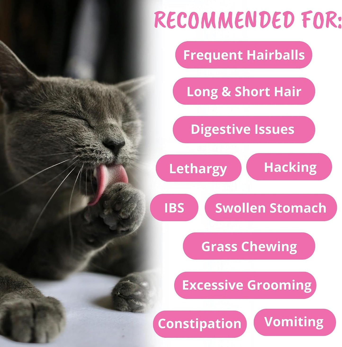 Under The Weather cat supplement packaging showing salmon flavor icons