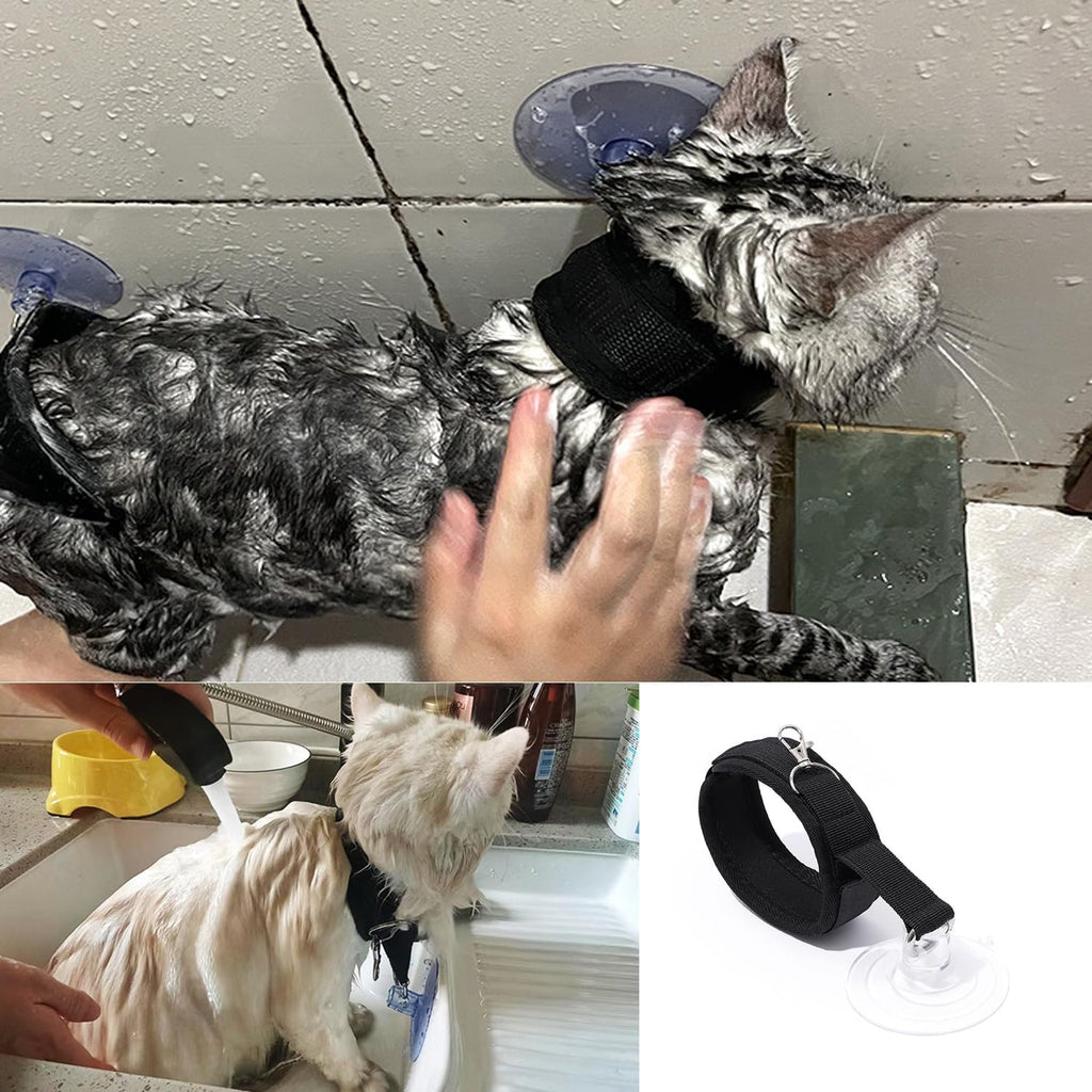 Secure suction cup tether for stress-free pet shower time