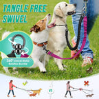 Shock absorbing bungee dog leash splitter for medium and large dogs.