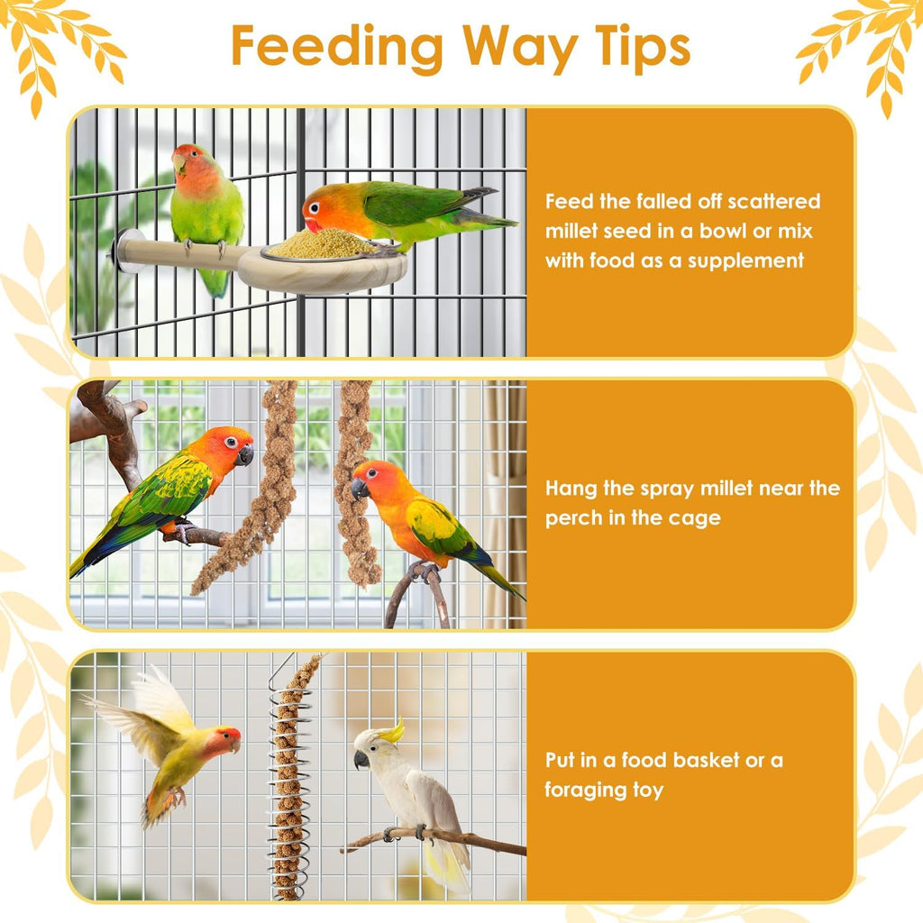 Hamster interacting with natural Katumo spray millet treat
